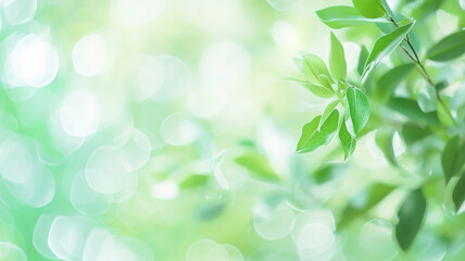 Wall Mural - green leaves of bushes and trees in the sunlight close-up