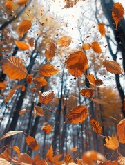 Poster - Close-up of golden-brown leaves falling gently from trees.