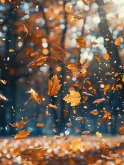 Poster - Close-up of golden-brown leaves falling gently from trees.