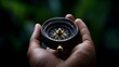 © KN Studio - Compass in Hand: Finding Direction and Purpose: A close-up image of a hand holding a compass, with a blurred green background, symbolizing the journey of finding one's way and navigating life's challe