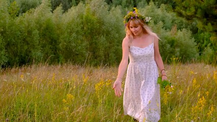 Wall Mural - Woman in a meadow picking medicinal wild flowers. Selective focus.