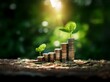 © joeycheung - Stacks of coins with growing plants on top, set against a blurry green and sunlit background.