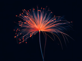 minimalist fireworks exploding in the night sky.