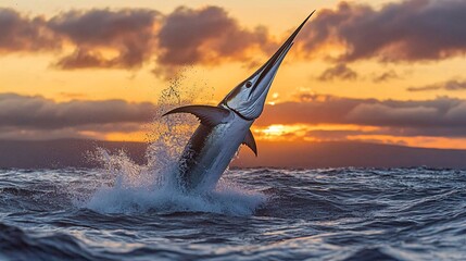 Wall Mural - a majestic marlin leaps from the ocean against a dramatic sunset sky, creating a splash of water as 