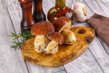 Wall Mural - Raw natural wild porchini mushrooms