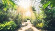© สมเจตน์ หนูแก้ว - Sunlight streams through a greenhouse, illuminating lush greenery.