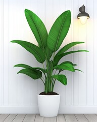 Canvas Print - A large green plant in a white pot against a wooden wall with a light fixture.