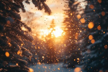 Wall Mural - beautiful winter sunset with snow falling from pine trees