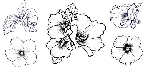 a set of hand-drawn hibiscus flowers vector illustration