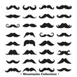 © Hiroki - A collection of different black silhouettes of mustaches in various styles and shapes, on a white background