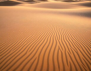 The gentle curves and ridges of sand dunes create an abstract pattern in the early morning light, with soft shadows emphasizing the texture of the sand. 