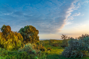 Wall Mural - Vivid landscape of green ocean coastline