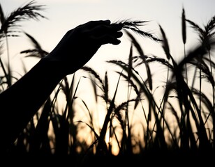 Poster - A hand brushes through tall grass swaying in the wind, silhouetted against a soft, late-afternoon sky.