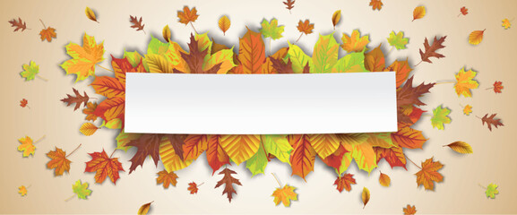 Wall Mural - autumn foliage explosion centre paper sticker