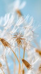 Wall Mural - Dandelion Flower Under Blue Sky, Minimalist, Abstract Image, Texture, Pattern Background, Wallpaper, Cover and Screen of Smartphone, PC, Laptop, 9:16 and 16:9 Format