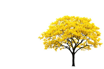 Wall Mural - A yellow tree is standing in front of a white background