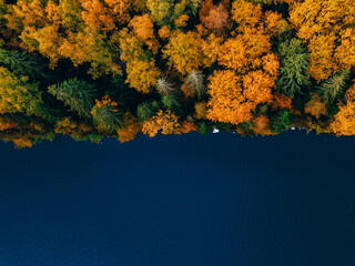 Wall Mural - Aerial drone view of blue water lake and autumn colors woods in Finland.