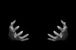 © junky_jess - Bony pale male hands of vampire or dead with long fingers and sharp nails, isolated on black. Monster try to hold something, low key, selected focus.