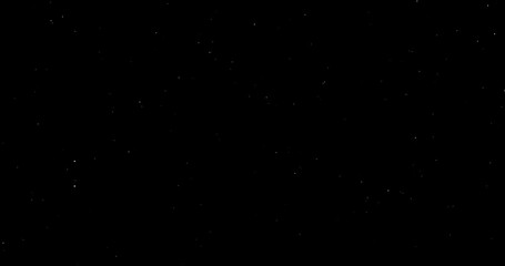 Wall Mural - Natural Organic Dust Particles Floating On Black Background. Dynamic Dust Particles Randomly Float In Space. Shimmering Glittering Dust Particles With Bokeh. Slow motion on Black Background.
