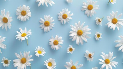 Wall Mural - Daisies Scattered on a Blue Background