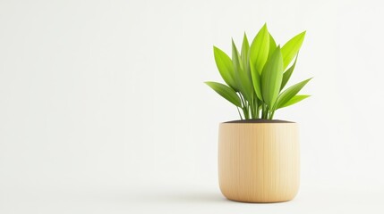 Wall Mural - Modern Green Plant in Minimalist Pot on White Background