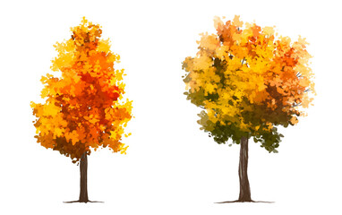 Wall Mural - vector of autumn tree for landscape scene,watercolor plant for architecture drawing, environment and