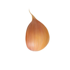 Garlic, one clove of garlic on a blank background