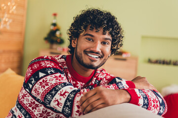 Wall Mural - Photo of nice young man toothy smile sit couch wear christmas pullover festive time apartment indoors