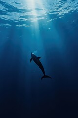 Wall Mural - dolphin swimming in deep sea