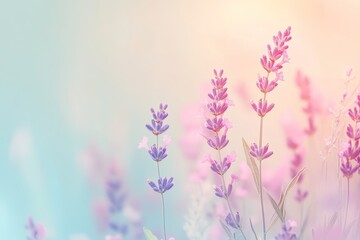 Wall Mural - Pastel background with soft shades of pink, mint, and lavender, creating a gentle, calming atmosphere