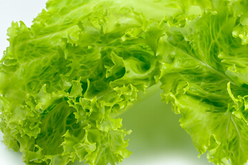 A white with lettuce green leaves. green fresh concept. a white with lettuce and greens on it with greens and leaves. a white with greens, lettuce, and greens on greens lifestyle and leaves.