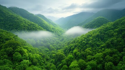 Sticker - A view of a mountain range with fog in the valleys, AI