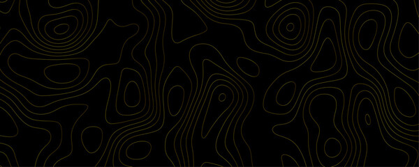 Luxury Geographic Design A Black Topography Concept with Gold Contour Lines and Terrain Patterns for Modern Travel and Exploration
