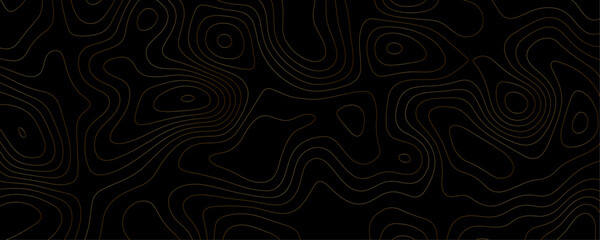 Black and Gold Topography A Geometric Map Design with Contoured Relief Lines and Abstract Terrain Illustration for Luxury Travel Concepts
