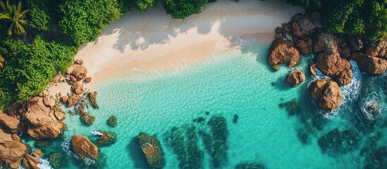 Wall Mural - Aerial View of a Secluded Tropical Beach