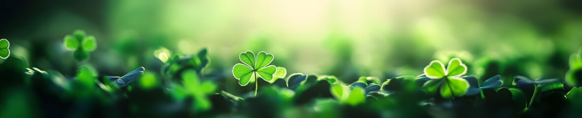 Poster - Celebrate St. Patrick's Day with lucky-themed backgrounds that radiate festive cheer Featuring vibrant green hues,shamrocks,leprechauns, pots gold, these designs set perfect atmosphere for the holiday
