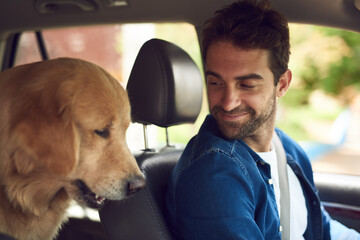 Poster - Man, happy and dog in car for travel, road trip and holiday with bonding, connection and driving. Male person, smile and golden retriever in van for pet care, vacation and break on weekend with puppy