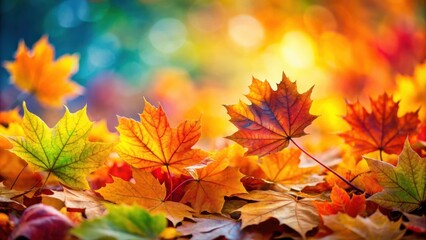 Wall Mural - vibrant autumn leaves with shallow depth of field for beautiful nature background