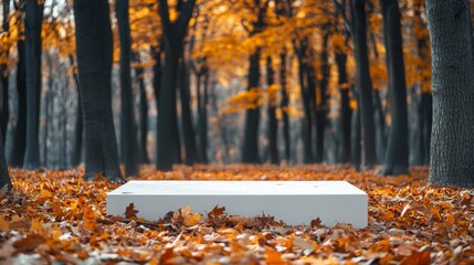 Poster - A serene park in autumn features a blanket of orange leaves covering the ground, surrounding a white platform placed amidst the trees. The peaceful atmosphere invites contemplation and reflection.