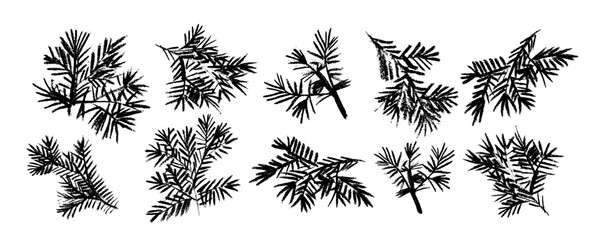 Collection with had drawn seaweed . Hand drawn plants botanical texture. Great for fabric, textile, apparel, walloper, digital paper