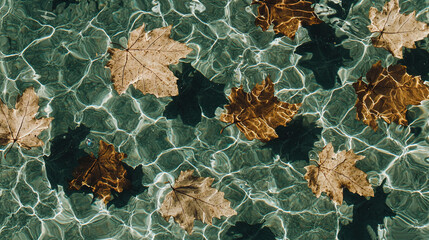 Poster -   A cluster of foliage bobbing atop a lake beside an enchanting woodland during midday