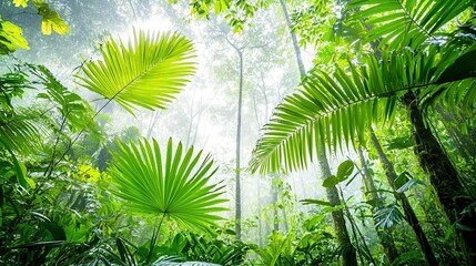   A verdant forest brimming with numerous green flora and an abundant canopy of foliage adorning the ground