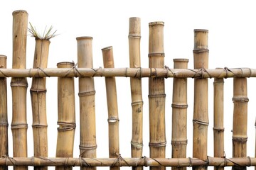 Canvas Print - A close-up view of a bamboo fence, featuring individual sticks and texture