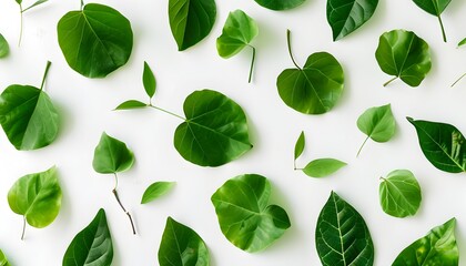 Vibrant green leaf pattern on white, showcasing fresh natural textures for a calming and refreshing nature-inspired design.