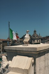 bird with an italian flag