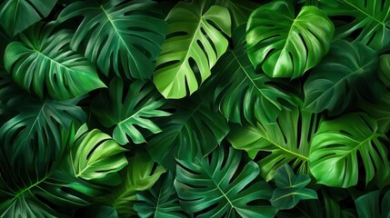 lush green botanical pattern with monstera palm leaves and exotic foliage digital illustration