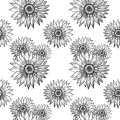 Wall Mural - Seamless pattern with Sunflower plant flowers.Floral repeating background. Healthy food, seed harvest, design element. Hand drawn ornament with helianthus for print, label, postcard, logo, template