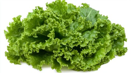 Isolated green salad leaves on a white background