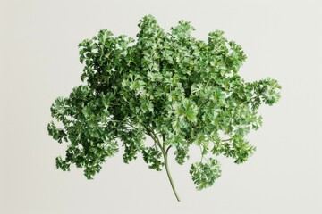 Aufkleber - A beautiful flower arrangement in a vase placed on a table