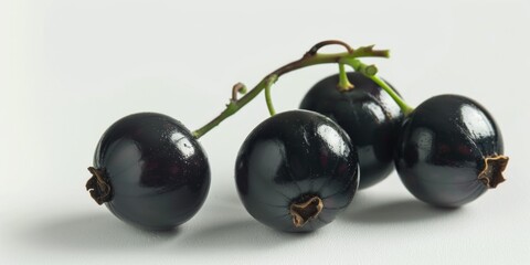 Wall Mural - Fresh black cherries arranged on a clean white surface